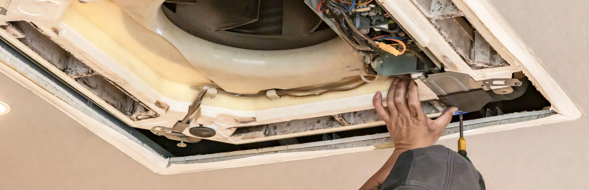 キービジュアル